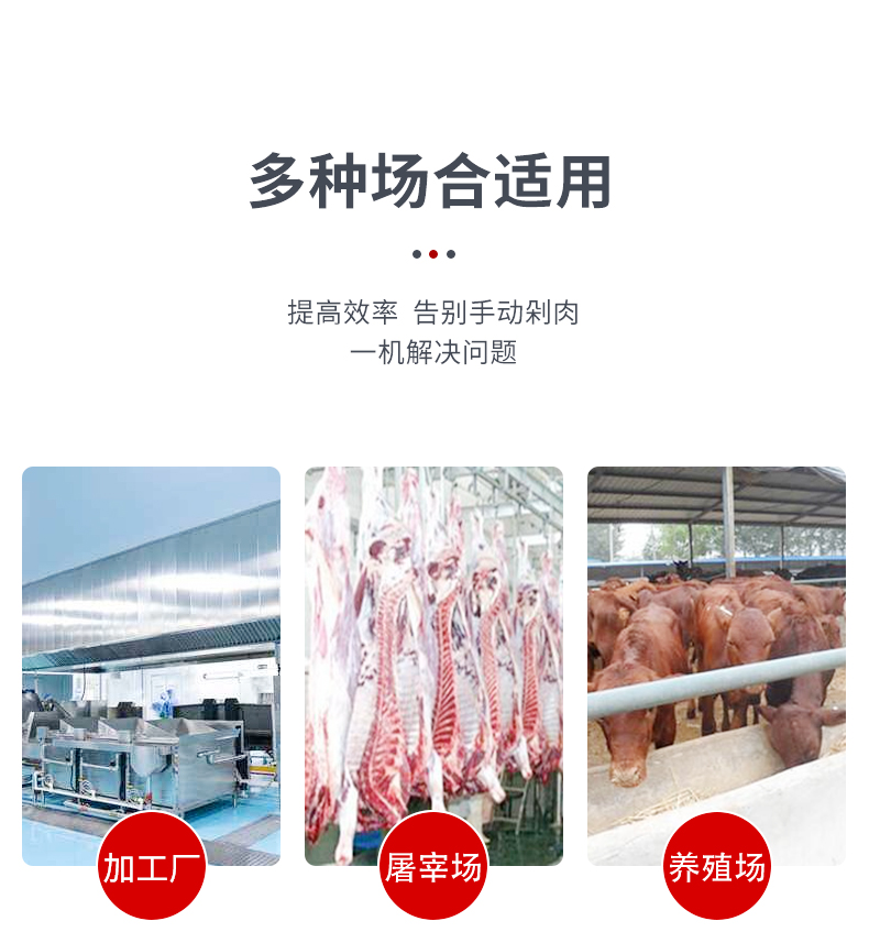 食品機(jī)械 食品機(jī)械